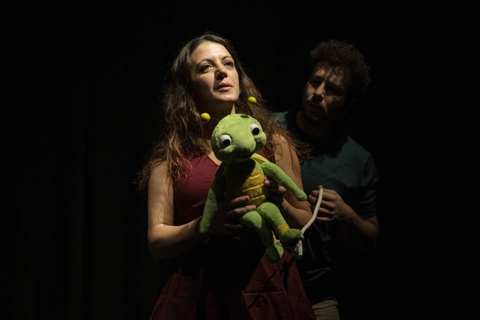 LE AVVENTURE DI CIPIDILLO - Storia di un grillo -